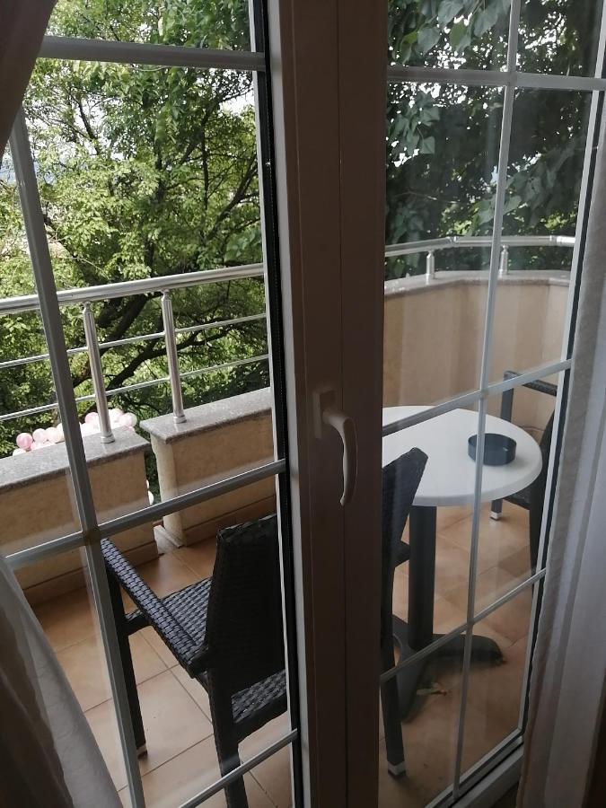 B&B Vila Vidikovac Aranđelovac Exterior foto
