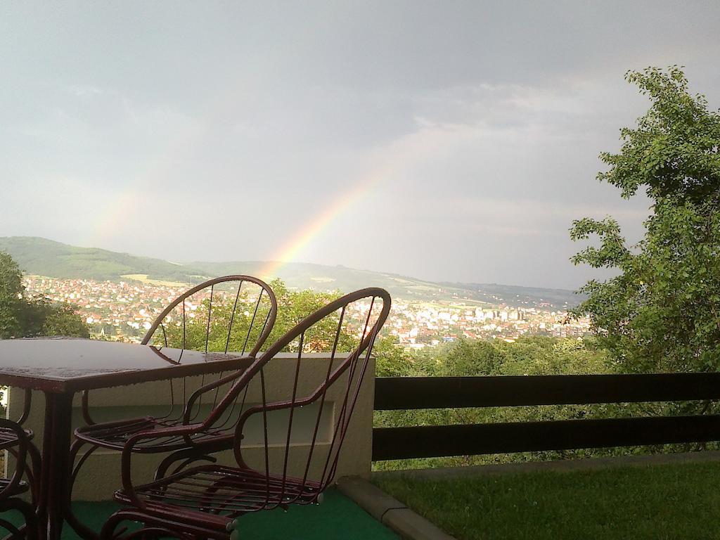 B&B Vila Vidikovac Aranđelovac Exterior foto