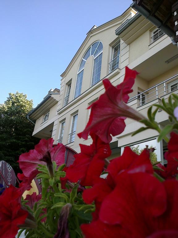 B&B Vila Vidikovac Aranđelovac Exterior foto