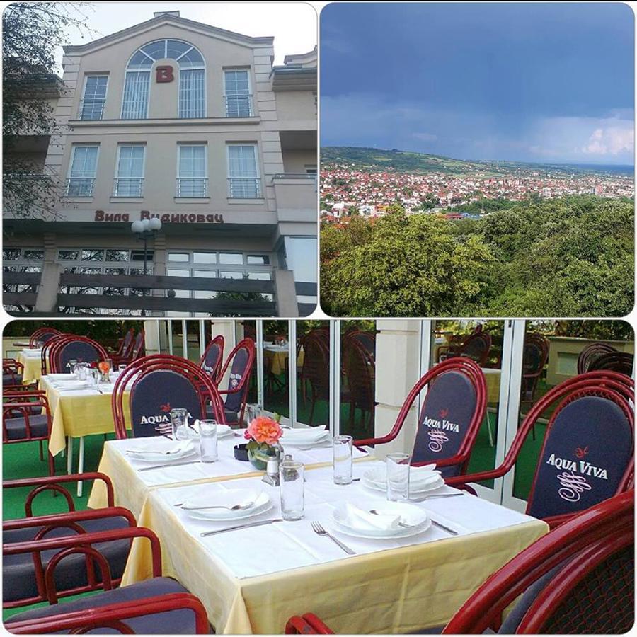 B&B Vila Vidikovac Aranđelovac Exterior foto